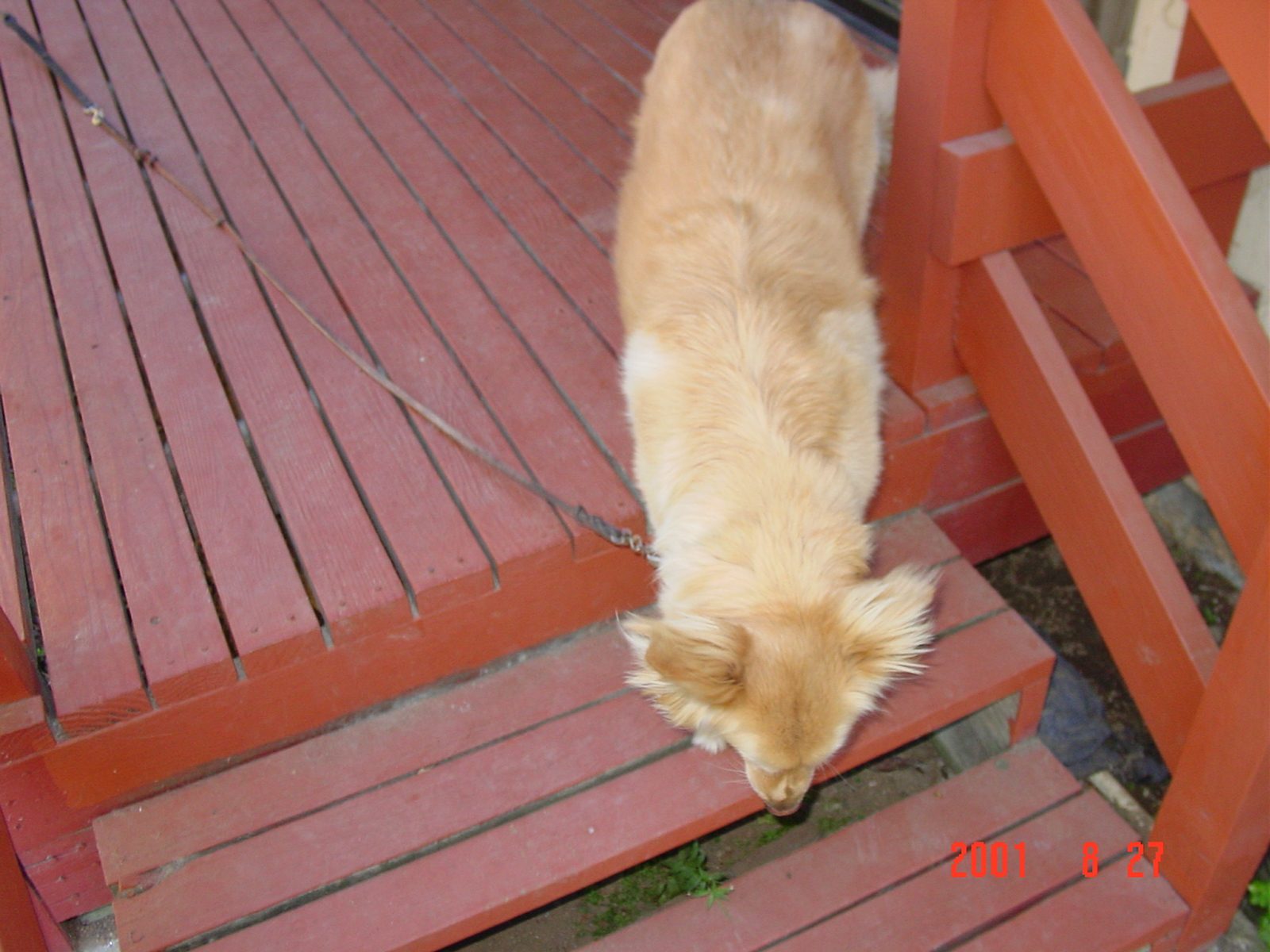 2406 photo 49